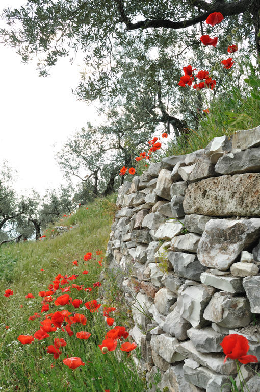Agriturismo "Antico Frantoio" Foligno Extérieur photo